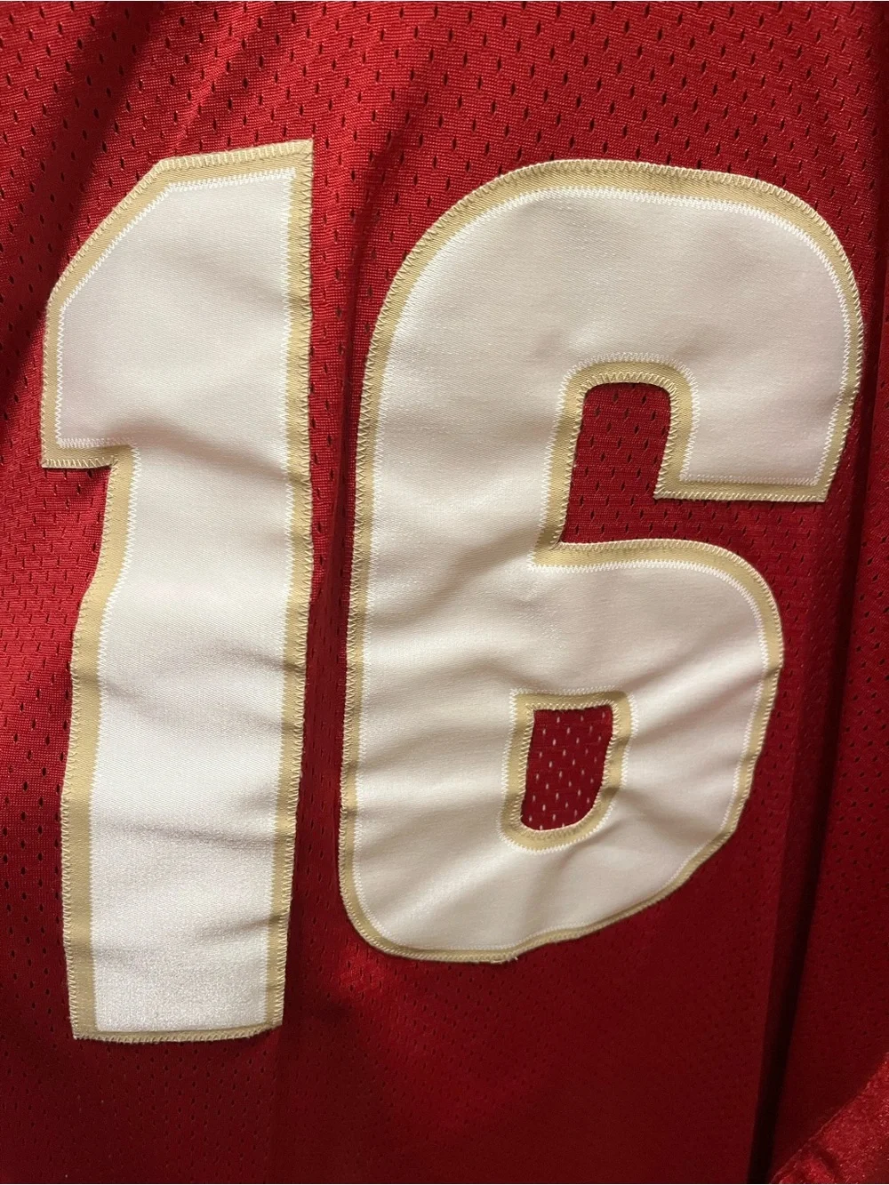 Nike Florida State Football Jersey #16
